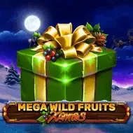 Mega Wild Fruits - Xmas game icon